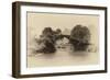 China 10MKm2 Collection - Dragon Bridge on the Yulong river-Philippe Hugonnard-Framed Premium Photographic Print