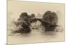 China 10MKm2 Collection - Dragon Bridge on the Yulong river-Philippe Hugonnard-Mounted Photographic Print