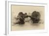 China 10MKm2 Collection - Dragon Bridge on the Yulong river-Philippe Hugonnard-Framed Photographic Print