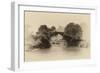 China 10MKm2 Collection - Dragon Bridge on the Yulong river-Philippe Hugonnard-Framed Photographic Print