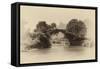 China 10MKm2 Collection - Dragon Bridge on the Yulong river-Philippe Hugonnard-Framed Stretched Canvas