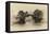 China 10MKm2 Collection - Dragon Bridge on the Yulong river-Philippe Hugonnard-Framed Stretched Canvas