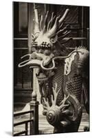 China 10MKm2 Collection - Dragon - Chinese Art-Philippe Hugonnard-Mounted Photographic Print