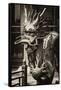 China 10MKm2 Collection - Dragon - Chinese Art-Philippe Hugonnard-Framed Stretched Canvas