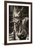 China 10MKm2 Collection - Dragon - Chinese Art-Philippe Hugonnard-Framed Premium Photographic Print