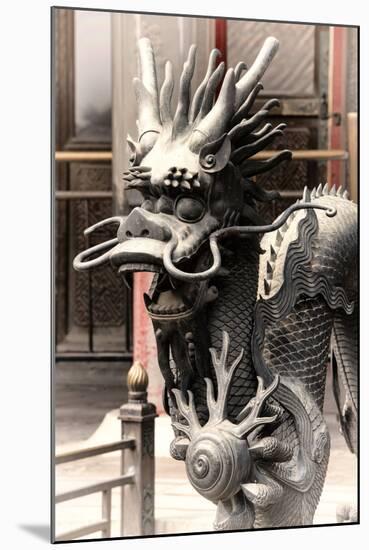 China 10MKm2 Collection - Dragon - Chinese Art-Philippe Hugonnard-Mounted Photographic Print