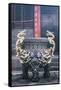 China 10MKm2 Collection - Dragon Incense-Philippe Hugonnard-Framed Stretched Canvas