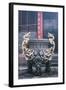 China 10MKm2 Collection - Dragon Incense-Philippe Hugonnard-Framed Photographic Print