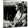 China 10MKm2 Collection - Dragon Temple-Philippe Hugonnard-Mounted Photographic Print