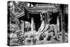 China 10MKm2 Collection - Dragon Temple-Philippe Hugonnard-Stretched Canvas