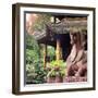 China 10MKm2 Collection - Dragon Temple-Philippe Hugonnard-Framed Photographic Print