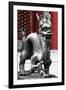 China 10MKm2 Collection - Dragon-Philippe Hugonnard-Framed Premium Photographic Print