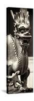 China 10MKm2 Collection - Dragon-Philippe Hugonnard-Stretched Canvas