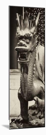 China 10MKm2 Collection - Dragon-Philippe Hugonnard-Mounted Photographic Print