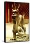 China 10MKm2 Collection - Dragon-Philippe Hugonnard-Framed Stretched Canvas