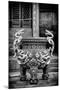 China 10MKm2 Collection - Dragons Incense-Philippe Hugonnard-Mounted Photographic Print