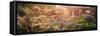 China 10MKm2 Collection - Dream Garden-Philippe Hugonnard-Framed Stretched Canvas
