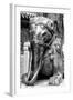 China 10MKm2 Collection - Elephant Buddha-Philippe Hugonnard-Framed Photographic Print