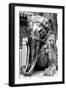 China 10MKm2 Collection - Elephant Buddha-Philippe Hugonnard-Framed Photographic Print