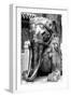 China 10MKm2 Collection - Elephant Buddha-Philippe Hugonnard-Framed Photographic Print