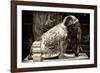 China 10MKm2 Collection - Elephant Buddha-Philippe Hugonnard-Framed Photographic Print