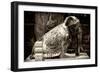 China 10MKm2 Collection - Elephant Buddha-Philippe Hugonnard-Framed Photographic Print