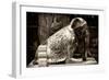 China 10MKm2 Collection - Elephant Buddha-Philippe Hugonnard-Framed Photographic Print