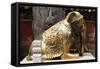 China 10MKm2 Collection - Elephant Buddha-Philippe Hugonnard-Framed Stretched Canvas