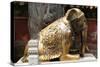 China 10MKm2 Collection - Elephant Buddha-Philippe Hugonnard-Stretched Canvas