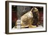 China 10MKm2 Collection - Elephant Buddha-Philippe Hugonnard-Framed Photographic Print