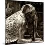 China 10MKm2 Collection - Elephant Buddha-Philippe Hugonnard-Mounted Photographic Print