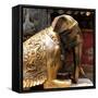 China 10MKm2 Collection - Elephant Buddha-Philippe Hugonnard-Framed Stretched Canvas