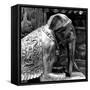 China 10MKm2 Collection - Elephant Buddha-Philippe Hugonnard-Framed Stretched Canvas