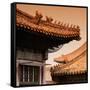 China 10MKm2 Collection - Forbidden City Architecture - Beijing-Philippe Hugonnard-Framed Stretched Canvas