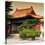 China 10MKm2 Collection - Forbidden City Architecture - Beijing-Philippe Hugonnard-Stretched Canvas