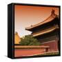 China 10MKm2 Collection - Forbidden City Architecture - Beijing-Philippe Hugonnard-Framed Stretched Canvas