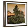 China 10MKm2 Collection - Forbidden City Architecture - Beijing-Philippe Hugonnard-Framed Photographic Print