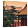 China 10MKm2 Collection - Forbidden City Architecture - Beijing-Philippe Hugonnard-Stretched Canvas