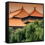 China 10MKm2 Collection - Forbidden City Architecture - Beijing-Philippe Hugonnard-Framed Stretched Canvas