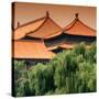 China 10MKm2 Collection - Forbidden City Architecture - Beijing-Philippe Hugonnard-Stretched Canvas