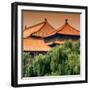 China 10MKm2 Collection - Forbidden City Architecture - Beijing-Philippe Hugonnard-Framed Photographic Print