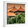 China 10MKm2 Collection - Forbidden City Architecture - Beijing-Philippe Hugonnard-Framed Photographic Print