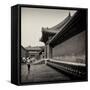 China 10MKm2 Collection - Forbidden City Architecture - Beijing-Philippe Hugonnard-Framed Stretched Canvas