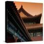 China 10MKm2 Collection - Forbidden City Architecture - Beijing-Philippe Hugonnard-Stretched Canvas