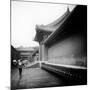 China 10MKm2 Collection - Forbidden City Architecture - Beijing-Philippe Hugonnard-Mounted Photographic Print