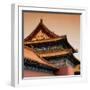 China 10MKm2 Collection - Forbidden City Architecture - Beijing-Philippe Hugonnard-Framed Photographic Print