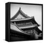 China 10MKm2 Collection - Forbidden City Architecture - Beijing-Philippe Hugonnard-Framed Stretched Canvas