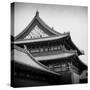 China 10MKm2 Collection - Forbidden City Architecture - Beijing-Philippe Hugonnard-Stretched Canvas