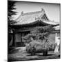 China 10MKm2 Collection - Forbidden City Architecture - Beijing-Philippe Hugonnard-Mounted Photographic Print