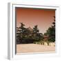 China 10MKm2 Collection - Forbidden City Architecture - Beijing-Philippe Hugonnard-Framed Photographic Print